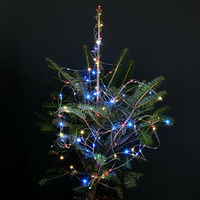 (株)リーフ Leaf Corp （観葉植物）クリスマスツリー　イルミネーション　ミックスカラー　もみの木（１本）（樹高５０～７０ｃｍ）（直送品）