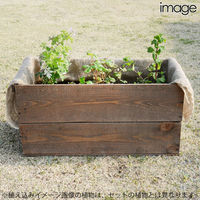 リーフ （観葉植物）りんご箱ガーデン　ラベンダー栽培セット　アンティーク仕立て　麻袋・軽石砂・培養土付き（直送品）