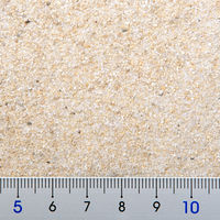 シーピーファーム C.P.Farm コーラルファインサンド SS 3kg(約2.3L) 281445 1個（直送品）