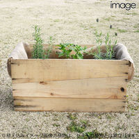 リーフ （観葉植物）りんご箱ガーデン　ラベンダー栽培セット　無塗装　麻袋・軽石砂・培養土付き 229310（直送品）