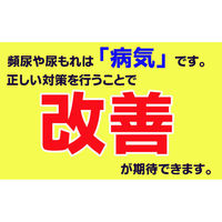 文響社 頻尿尿もれ 自力で克服!泌尿器科の名医陣が教える 最新1分体操大全 1435 1冊