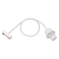 イシグロ モザイク ペンダントライト S リュザール かりわたし 21136 1個（直送品）