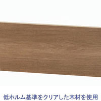 トーカイスクリーン ブラックフレームパーティション アクリル×全面 幅900×奥行28×高さ1820mm LDAM-1809 Br 1枚（取寄品）