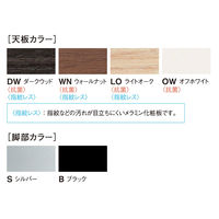 【軒先渡し】ニシキ工業  会議テーブル  幅1200×奥行750×高さ720mm  ウオールナット  AQHY-S1275W-WN  1台（直送品）