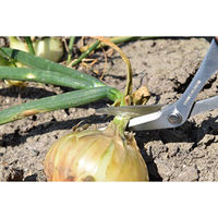 CANARY　家庭菜園はさみ●3個セット 4962069085519 1セット(3個入) 長谷川刃物（直送品）