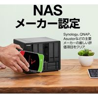 IronWolf NAS HDD 3.5inch SATA 6Gb/s 1TB 5400RPM 256MB 512E ST1000VN008（直送品）