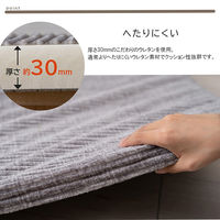 イケヒコ・コーポレーション ごろ寝 座布団 グランド 4連マット 800×1800mm グリーン 1211770124801 1枚（直送品）