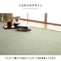 イケヒコ・コーポレーション カーペット 洗える ラグ カーム 2000×2500mm ベージュ 1293290026502 1枚（直送品）