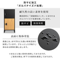 三栄コーポレーション 木目調ポスト付き宅配ボックス ブラック×木目調ナチュラル A1-DLMPBBKNA_AS 1台（直送品）