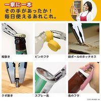 （株）エンジニア ネジザウルスＧＴＶ（モーヴピンク） PZ-77P 1個