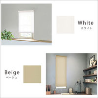 ホームテイスト つっぱりロールスクリーン 採光タイプ 縦600×横1350mm ホワイト SH-16-H60 1台（直送品）