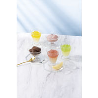 〈GODIVA〉ムースショコラ エ カカオフルーツジュレ（10個入） 1箱 三越伊勢丹 手提げ袋付き ギフト 父の日 サマーギフト