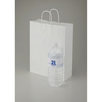 シモジマ 25チャームバッグ 2才 晒白無地 003235801 1袋(50枚)