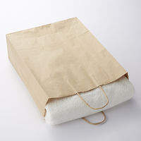 シモジマ 25チャームバッグ 2才 未晒無地 003201200 1袋(50枚)