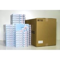 林製紙 (7098)桜ティッシュ40Wボックスティッシュペーパー 313969 1個