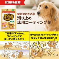 リンレイ 滑り止め 床用コーティング剤 シートタイプ 4903339984538 1個(4枚)