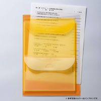 ライオン事務器 ダブルポケットホルダー フレッシュキウイ(FK) WP-123 13702 1冊