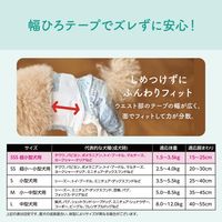 エリエール キミおもい リラックスウェア SSS テープ 超小型犬（女の子男の子共用タイプ）42枚入 1袋 大王製紙