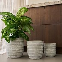 杉田エース D&M depotトライバルポット グレー φ16.5 CWJ956969 1セット(5個)（直送品）