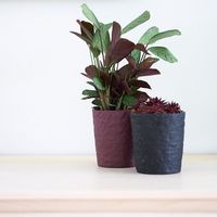 杉田エース D&M depotクレーピポット ブラック D13 CWJ956549 1セット(5個)（直送品）