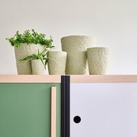 杉田エース D&M depotクレーピポット ライトグリーン D7 CWJ956537 1セット(4個)（直送品）