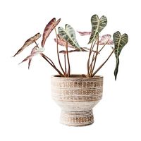 杉田エース AFFARI OF SWEDENカミーユポット カップ Φ18 ベージュ CWB957013 1個（直送品）