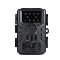 サイエルインターナショナル フルハイビジョン赤外線センサー暗視カメラ SLI-FIA1080 1台