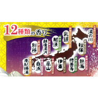 【大容量アソート】 いい湯旅立ち にごり炭酸湯 12種アソート ほんわか日和 1パック（48錠入）医薬部外品 白元アース