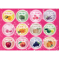 【大容量アソート】 HERSバスラボ しっとり保湿 うるおい炭酸湯 お楽しみパック 12種類の香り 1パック（48錠入）白元アース