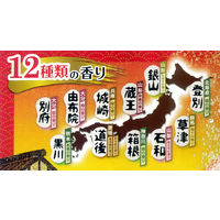 【大容量アソート】 いい湯旅立ち にごり炭酸湯 12種アソート ゆったり日和 1パック（48錠入）医薬部外品 白元アース