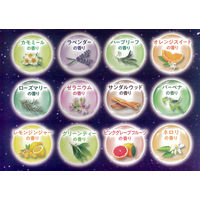 【大容量アソート】 HERSバスラボ W保湿 お楽しみパック 12種類の香り 1パック（48錠入）白元アース