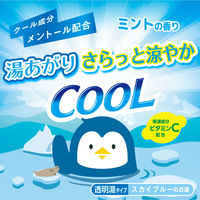 入浴剤 クール HERSバスラボ さっぱり保湿 クールミントの香り 透明タイプ ボトル 500g 1個 医薬部外品 白元アース