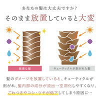 プリュスオー メロウシャンプー 詰め替え 350ml ホワイトフローラル＆ペアーの香り 多田