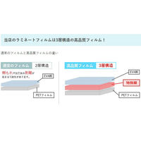 フジテックス ラミネートフィルム100μ A3サイズ 100枚入り '1117033003 1箱（わけあり品）