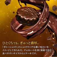 チョコレート菓子 個包装 お配り菓子 ミニガトーショコラ　8個入 1セット（1個×5）