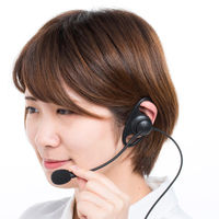 サンワサプライ ガイドシステム用ヘッドセット(イヤーフック型) MM-WGS4-HS3 1個（直送品）