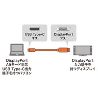 サンワサプライ TypeC-DisplayPort変換ケーブル(ブラック・2m) KC-ALCDP20K 1本
