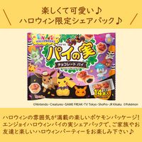 エンジョイハロウィン パイの実 シェアパック 3個 ロッテ チョコレート 個包装 ハロウィン