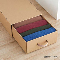 ベストコ 収納 ボックス 幅39×奥行53×高さ30cm ナチュラル ND-9534 L39 Reuse Dan Box シリーズ 1個（直送品）
