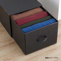 ベストコ 収納 ボックス 幅39×奥行53×高さ30cm ブラック ND-9546 L39 Reuse Dan Box シリーズ 1個（直送品）