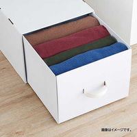 ベストコ 収納 ボックス 幅39×奥行53×高さ30cm ホワイト ND-9540 L39 Reuse Dan Box シリーズ 1個（直送品）