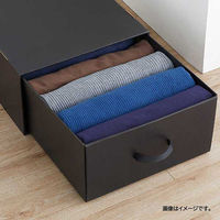 ベストコ 収納 ボックス 幅44×奥行53×高さ23cm ブラック ND-9547 WM44 Reuse Dan Box シリーズ 1個（直送品）