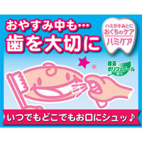 ハミケア いちご風味 25g 丹平製薬