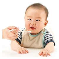 【5ヵ月頃から】ミッフィー 離乳食 スプーン セット ケース付 リッチェル