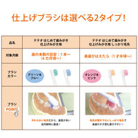 テテオ はじめて歯みがき 仕上げみがき用 1個 コンビ