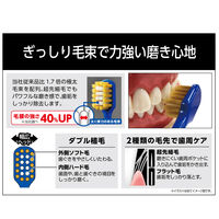 プレミアムケア ハブラシ 強力磨き レギュラー かため 極太毛束 1本 エビス