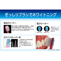 プレミアムケア ハブラシ 歯の美白 6列レギュラー ふつう ステインリムーバー毛 1本 エビス