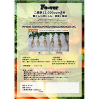 大興貿易 Fe-ver(フィーバー) 500ml 2057956 1本（直送品）