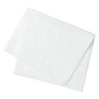 重光商事 「現場のチカラ」 マイクロファイバータオル洗車用 ホワイト 300×500mm 1セット(10袋(30枚)) オリジナル