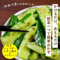 野菜がうまい！ ねぎ塩ガーリックだれ 鶏がらだし仕立て 300ml 3本 キユーピー